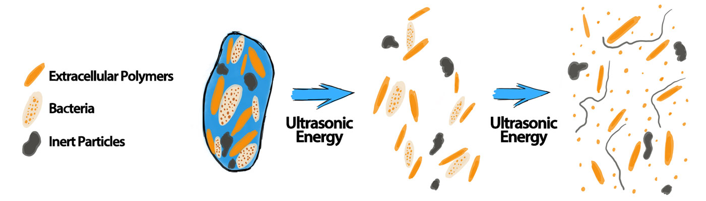 ultrasonic-celular-breakdown
